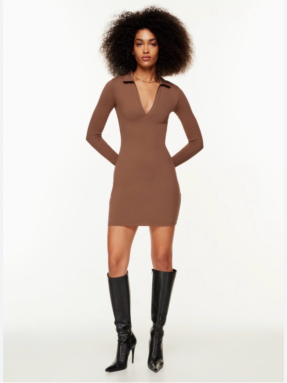 Aritzia Brown Long-Sleeve Polo V-Neck Mini Dress